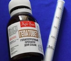 «Гепатовет»