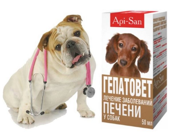 «Гепатовет» «Гепатовет»