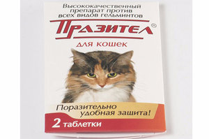 «Празител» (в таблетках) для кошек: от чего и как применять