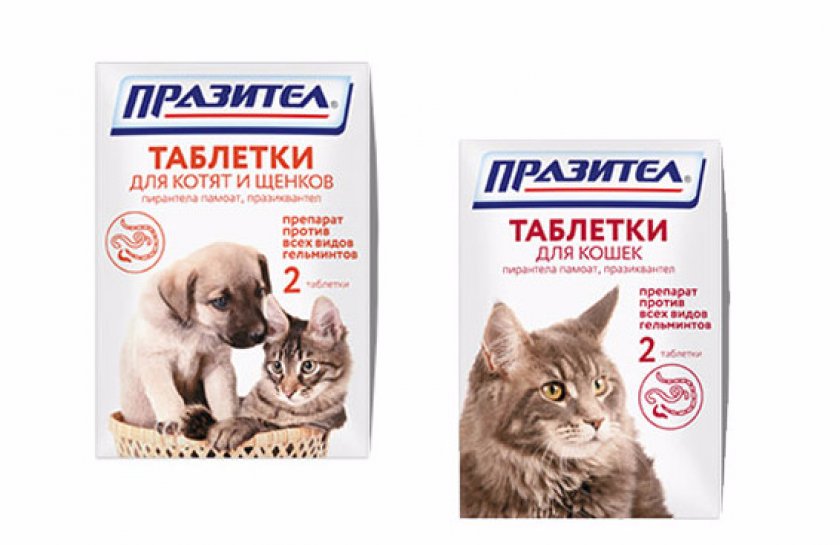 Празител для кошек инструкция