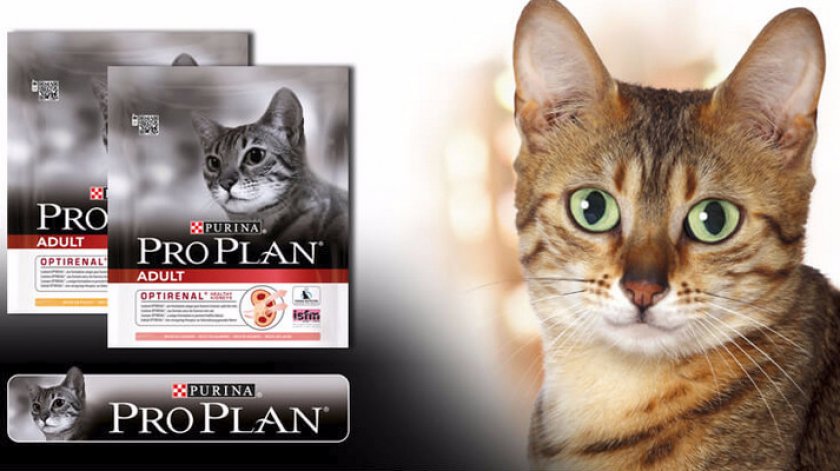 Линейка кормов для кошек Проплан от Пурина