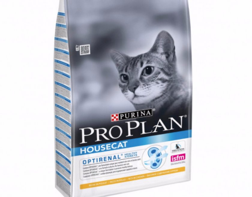 Для домашних кошек