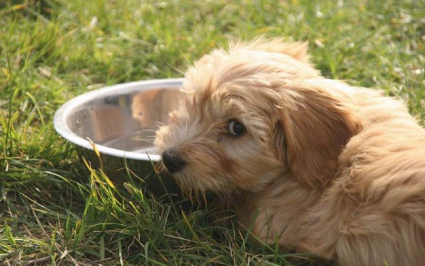 Питание Питание