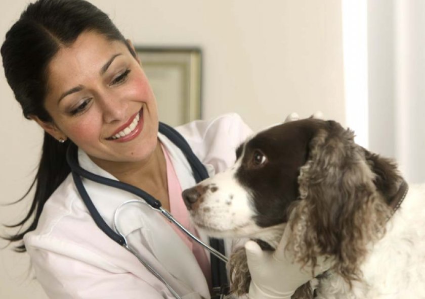 токсоплазмоз