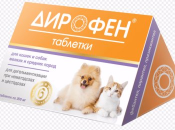 «Дирофен Плюс»: как давать собаке и кошке
