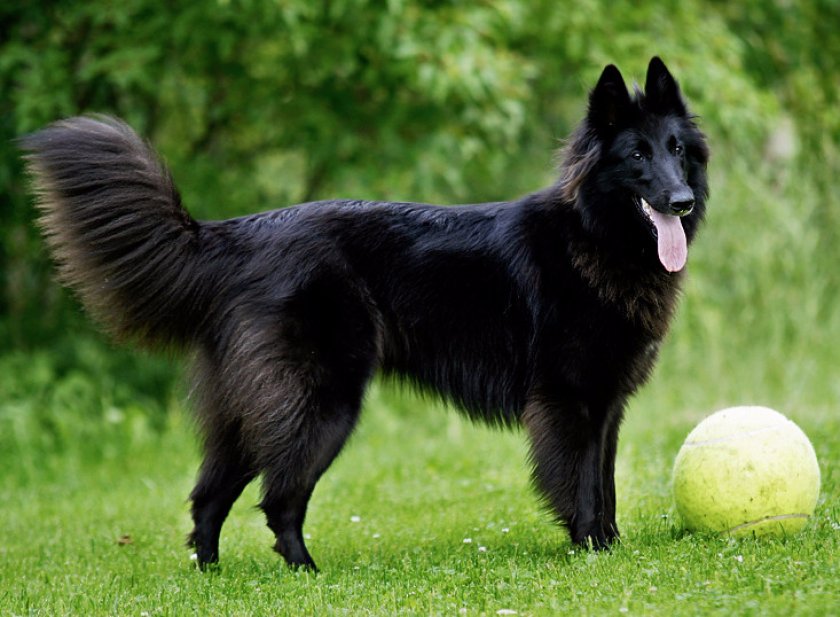 Грюнендаль