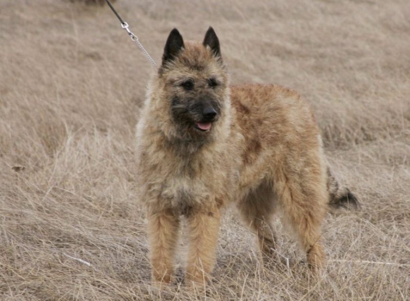 Лакенуа Лакенуа