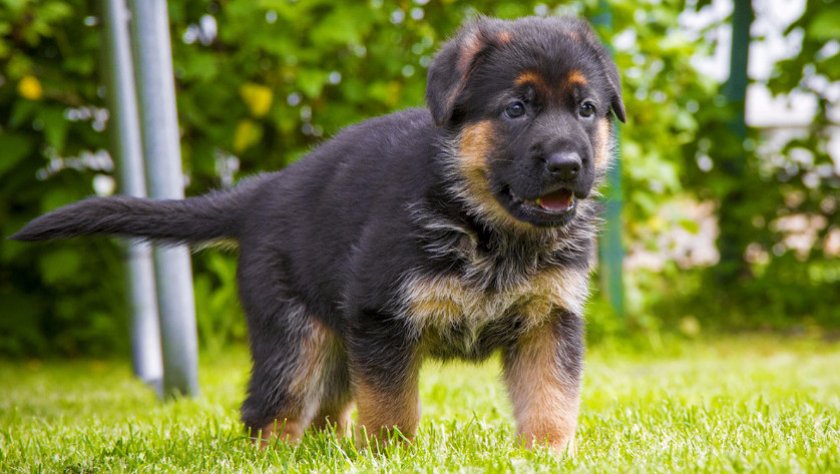 прогулка прогулка