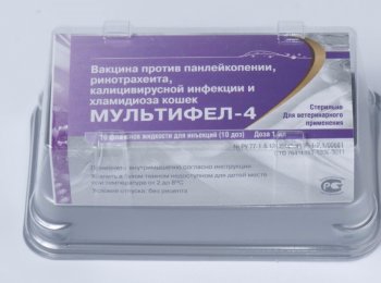 Прививка «Мультифел-4»: как и куда колоть кошке