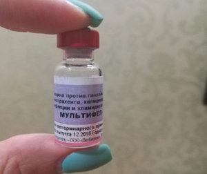 мультифел для кошек инструкция по применению Мультифел 4 — инструкция по применению для кошек.