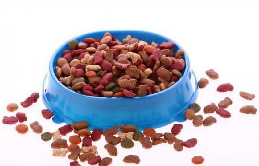 Корм для кошки Корм для кошки