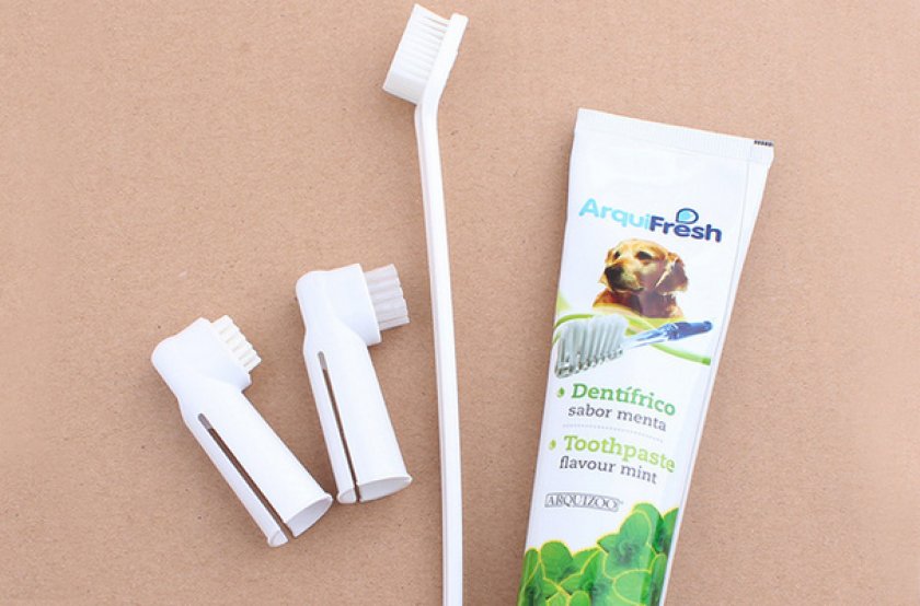Зубная щетка и паста для собаки Зубная щетка и паста для собаки
