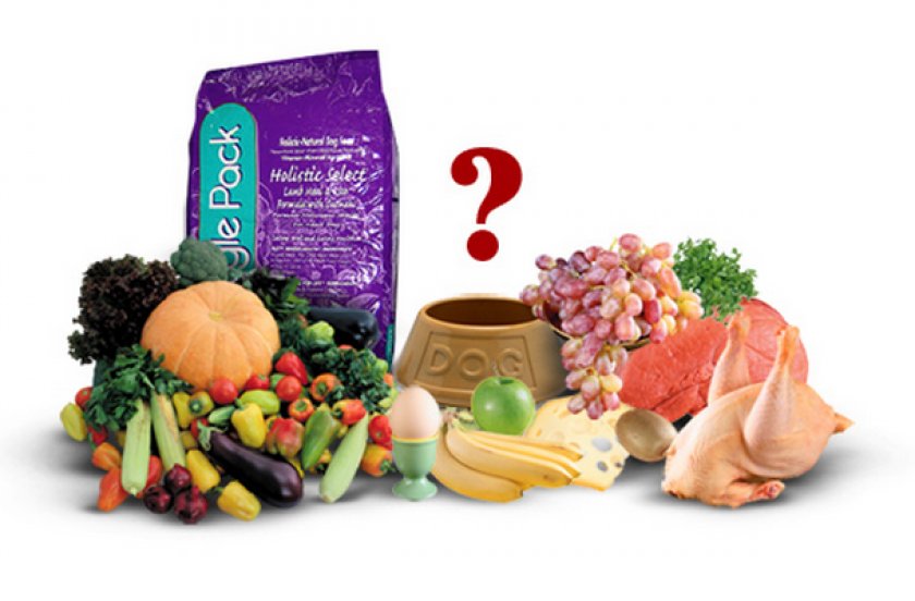 Рацион собаки