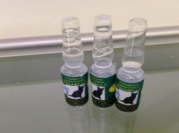 Ветеринарный препарат «Витафел»: показания и побочные эффекты, инструкция