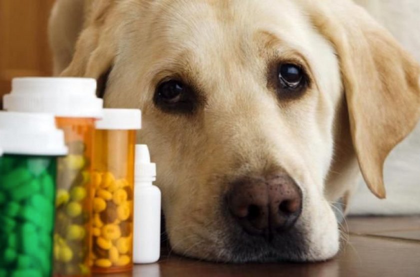 Медикаментозное лечение