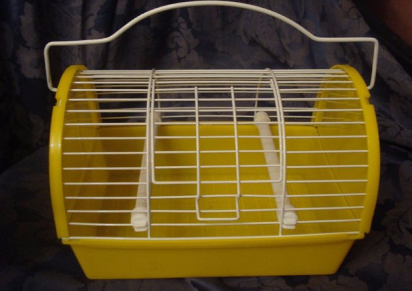 Вариант переноски