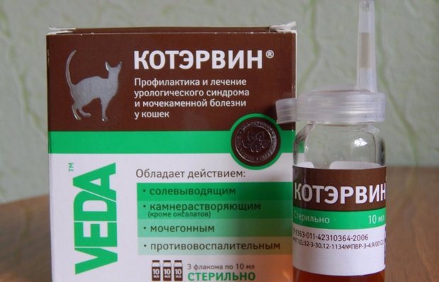Котэрвин Котэрвин
