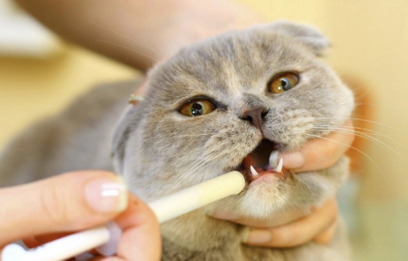 Прием медикаментов