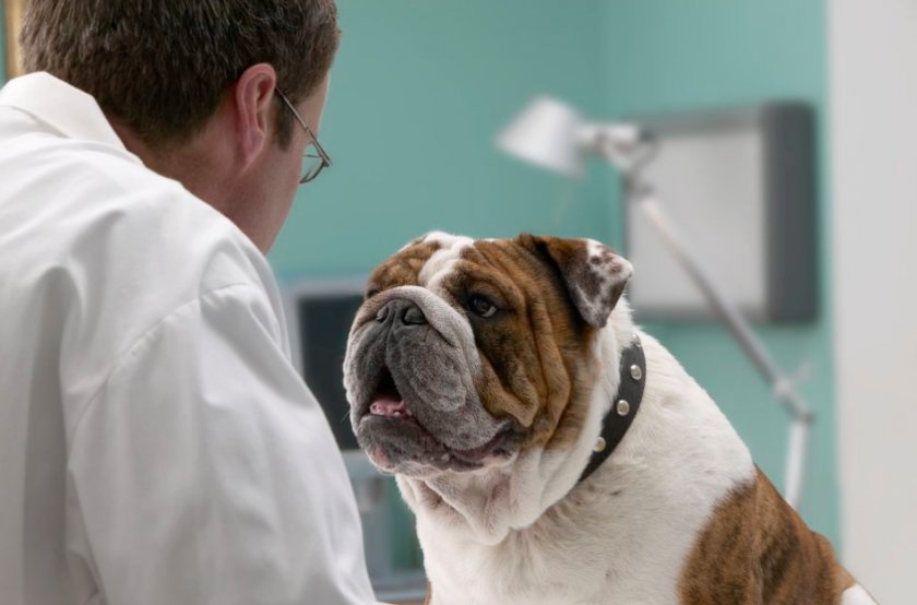 Диагностика