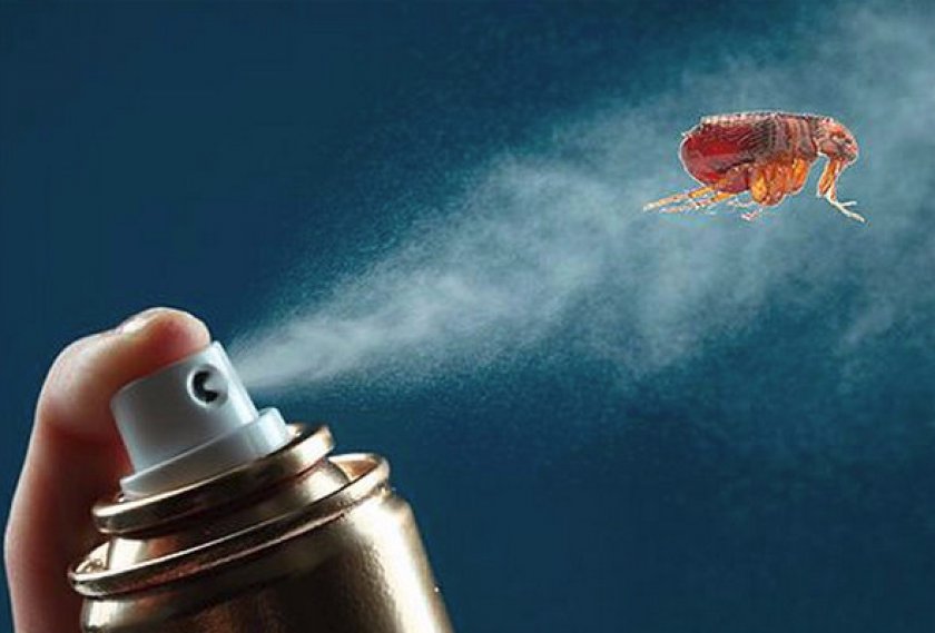 Спреи Спреи