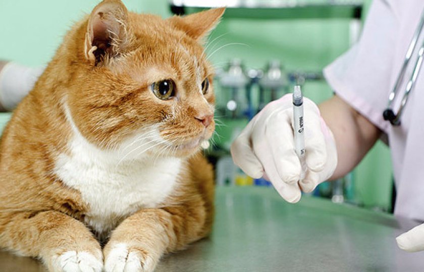 Таблетки и уколы Таблетки и уколы