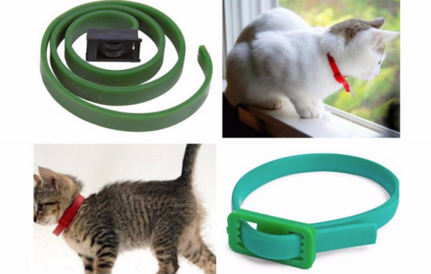 Ошейники Ошейники