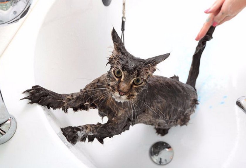 Профилактические меры Профилактические меры