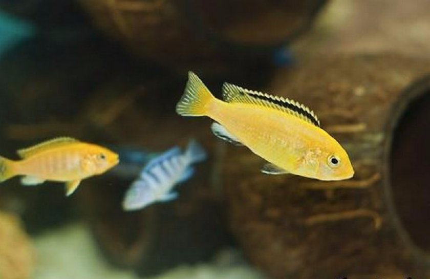 Объем и размеры