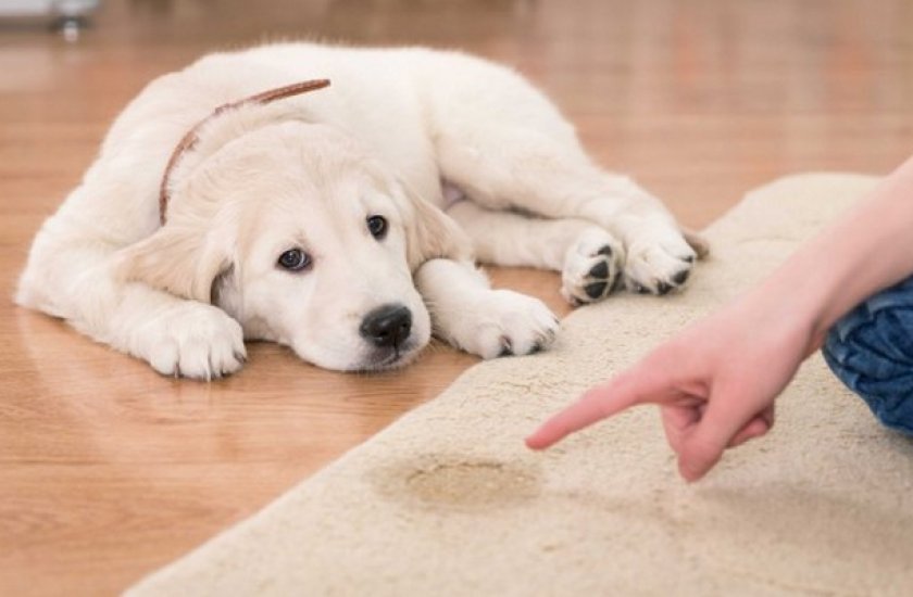 Психологические отклонения Психологические отклонения