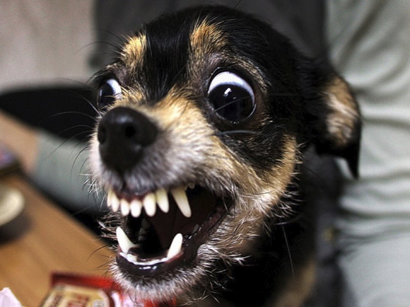 Страх Страх