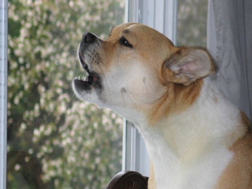 Одиночество Одиночество