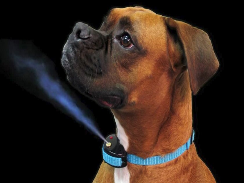 Ошейник с жидкостью или спреевой ошейник Ошейник с жидкостью или спреевой ошейник