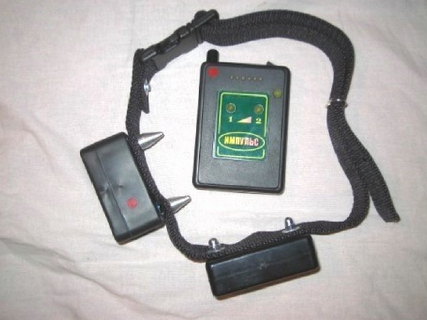 Электрошоковый ошейник Электрошоковый ошейник