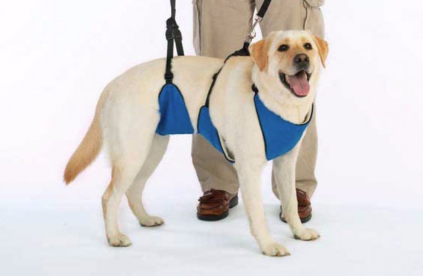 Медицинская