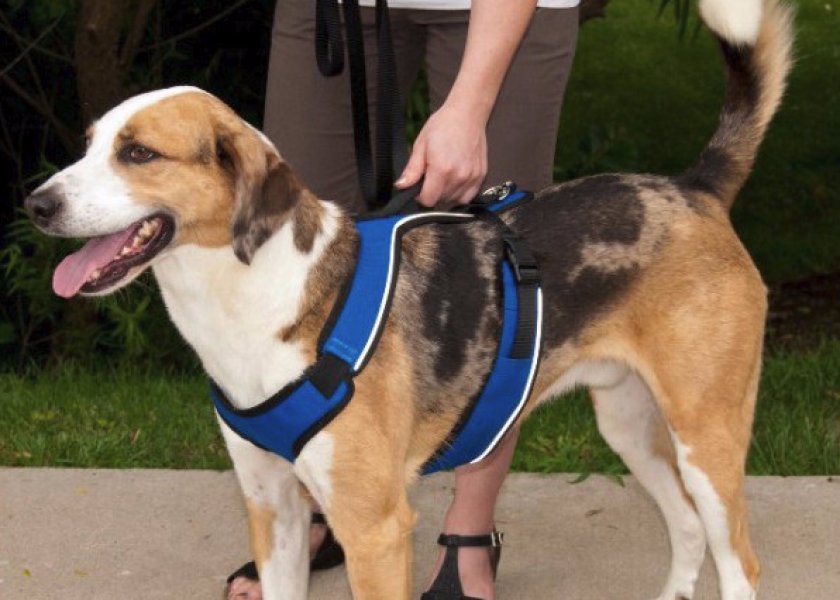 Для крупных пород