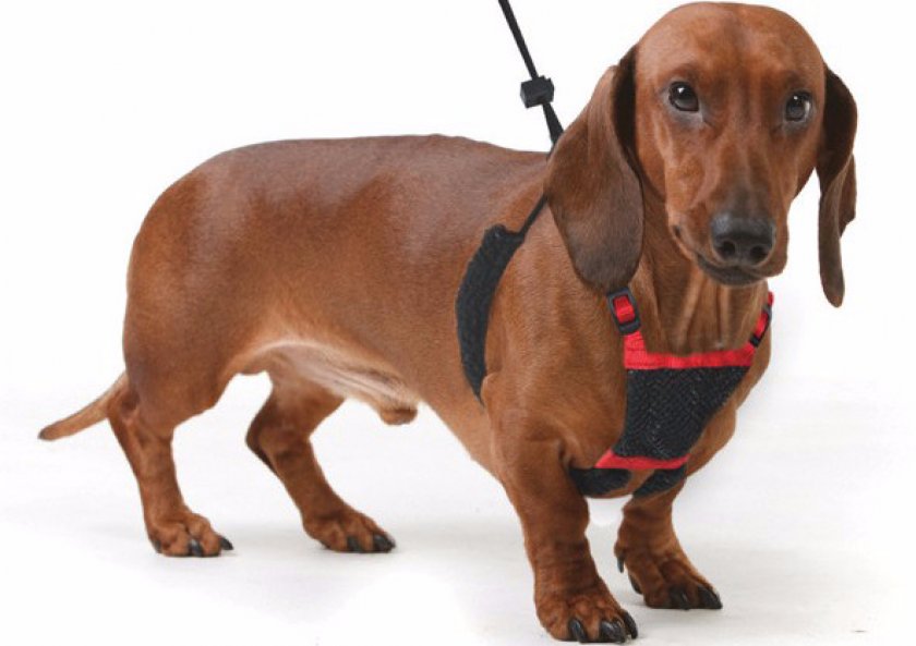 Для мелких пород