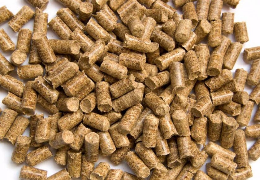 кошачий наполнитель для туалета