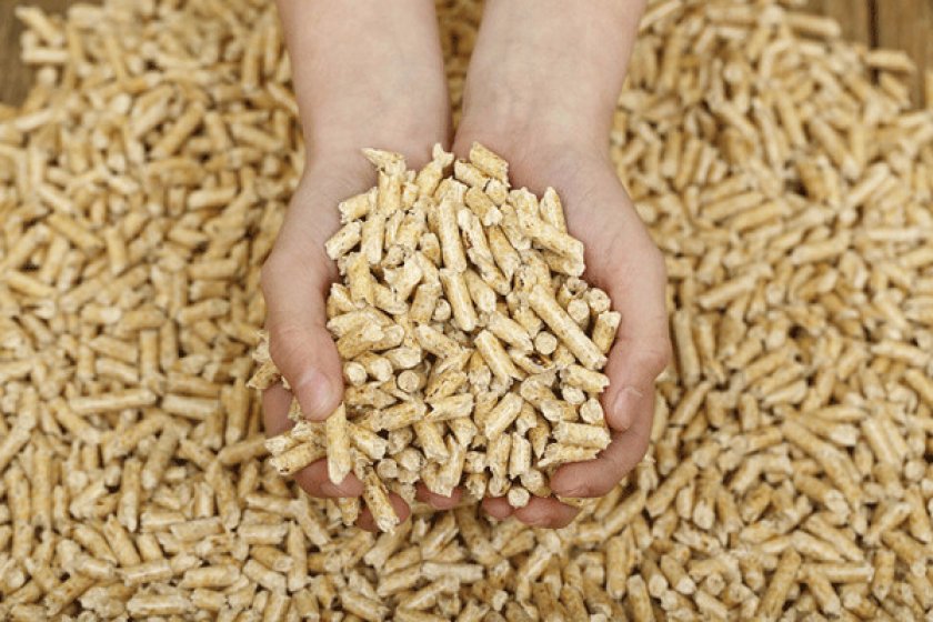 кошачий наполнитель для туалета