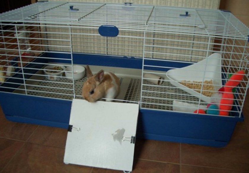 Клетка для кролика