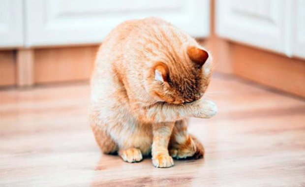 Причины Причины