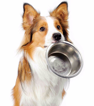 «Грандорф»