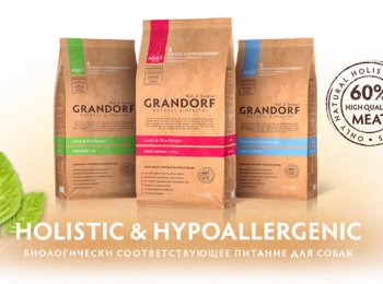 Линейка кормов для собак торговой марки «Грандорф»