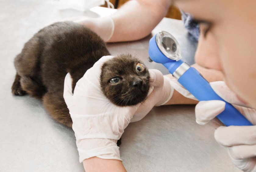 Обследование