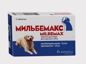 Как давать «Мильбемакс» собаке