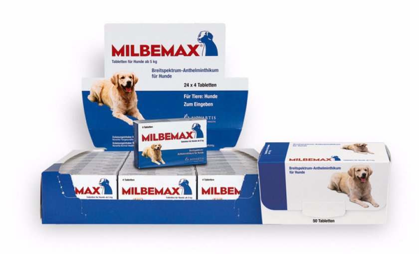 Как давать «Мильбемакс» собаке