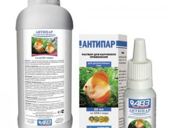 Как правильно применять для лечения рыбок в аквариуме препарат «Антипар»
