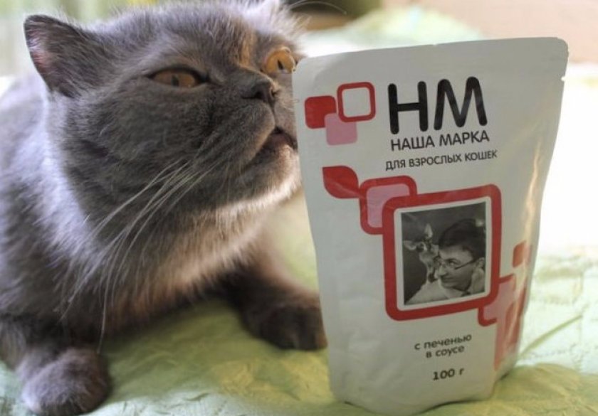 Корм для кошек