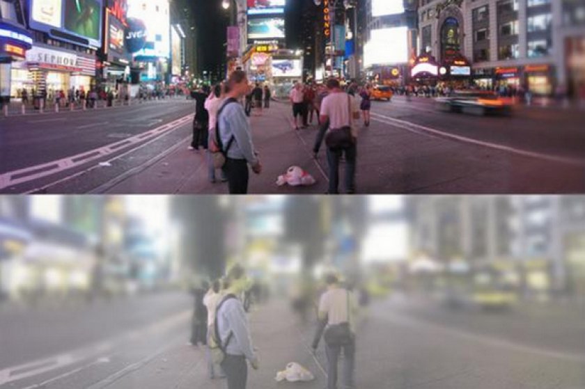 Как кошка видит мир