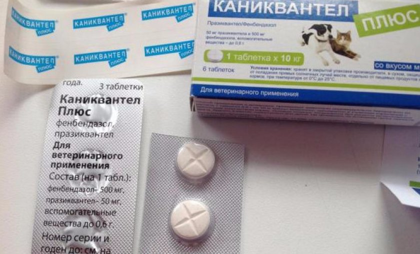 Каниквантел в таблетках