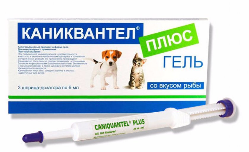 Каниквантел суспензия. Таблетки от глистов для кошек каниквантел. Каниквантел для щенков суспензия. Каниквантел плюс суспензия для щенков.